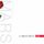 Cover de l'album de A Beautiful Lie