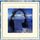 Cover de l'album de Into A Secret Land