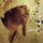Cover de l'album de Open Letter