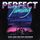 Cover de l'album de Perfect Timing