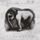 Cover de l'album de Strangers