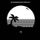 Cover de l'album de Wiped Out !
