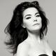 Bjork