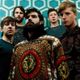 Foals
