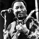 Muddy Waters