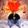 artist or album cover
